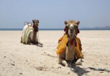 Sản phẩm dịch vụ